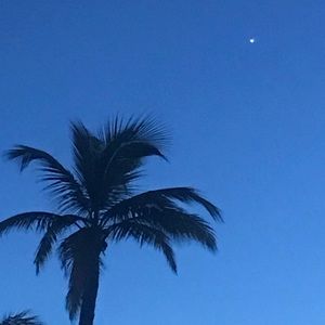 Meet your Posher, Haven